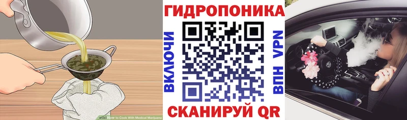 как найти закладки  Ессентукская  Cannafood конопля 