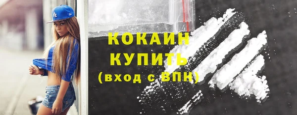 гидра Краснослободск