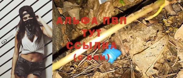 гидра Краснослободск