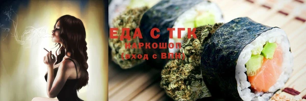 гидра Краснослободск