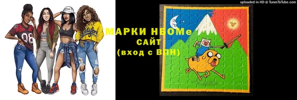 гидра Краснослободск