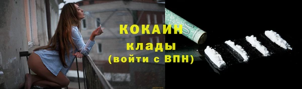 гидра Краснослободск