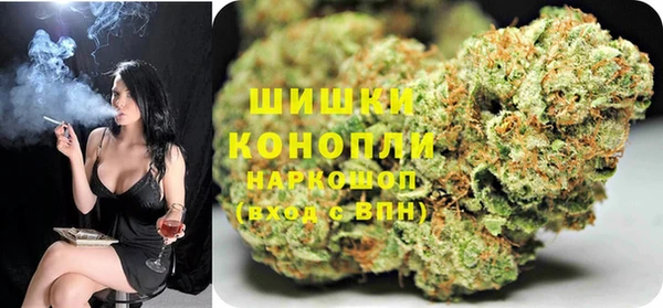 гидра Краснослободск
