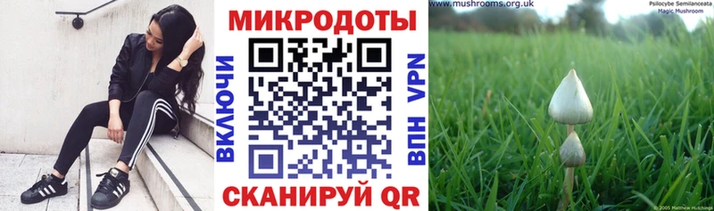 сайты даркнета состав  Ессентукская  Галлюциногенные грибы мицелий  магазин продажи  